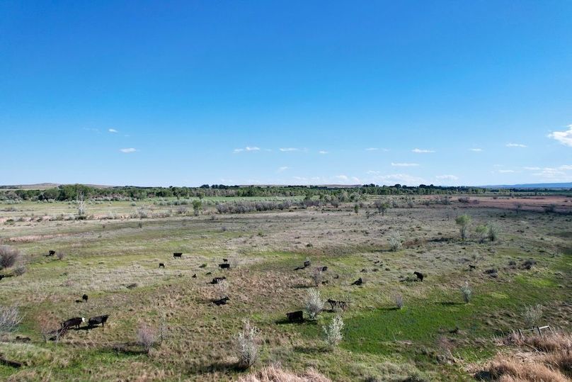 325DE988-DF17-45A9-8AB5-159CAC66E110_1_201_a