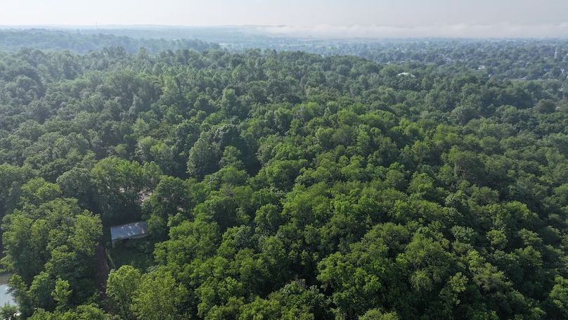 dji_fly_20240516_093700_0024_1715866833043_photo