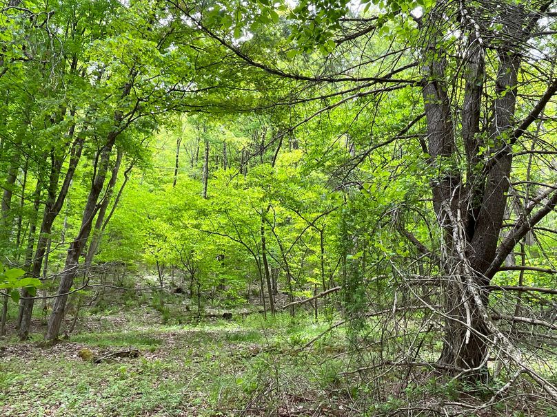 Tioga_18.72_Coulson Photo 13