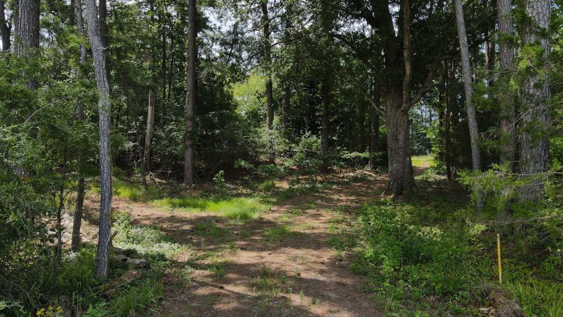 dji_fly_20230715_115600_195_1689436579275_photo