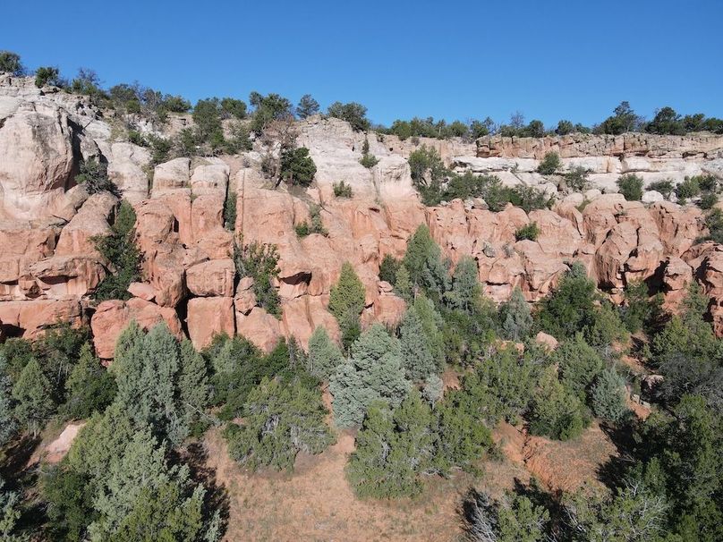 dji_fly_20240816_084540_577_1723819792385_photo