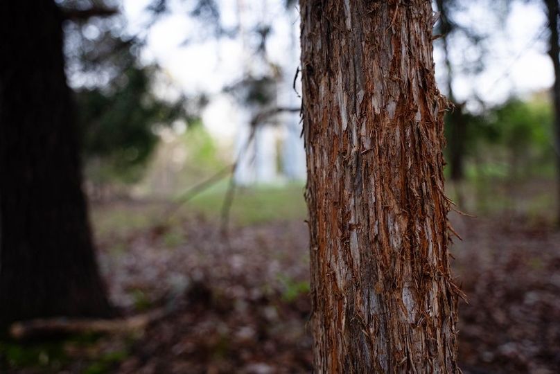 Okfuskee OK 615.38 Pro Photo-35