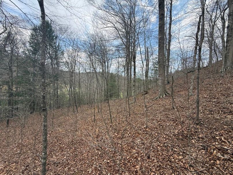 010 east facing hillside