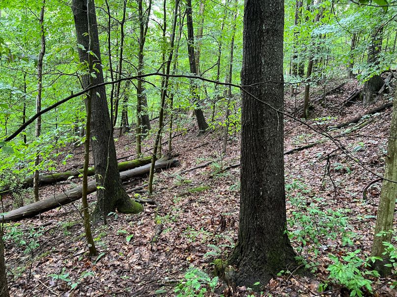 Wirt, WV 150.75 AC Tinnell-26