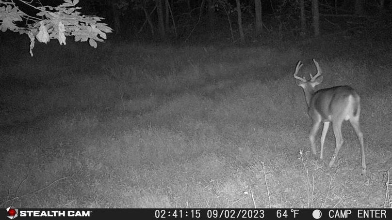 23090202411401000203