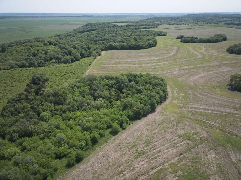 DJI_20250531111239_0005_D