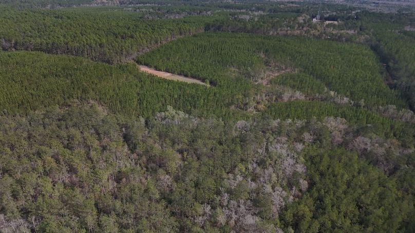 DJI_20231214123316_0006_D