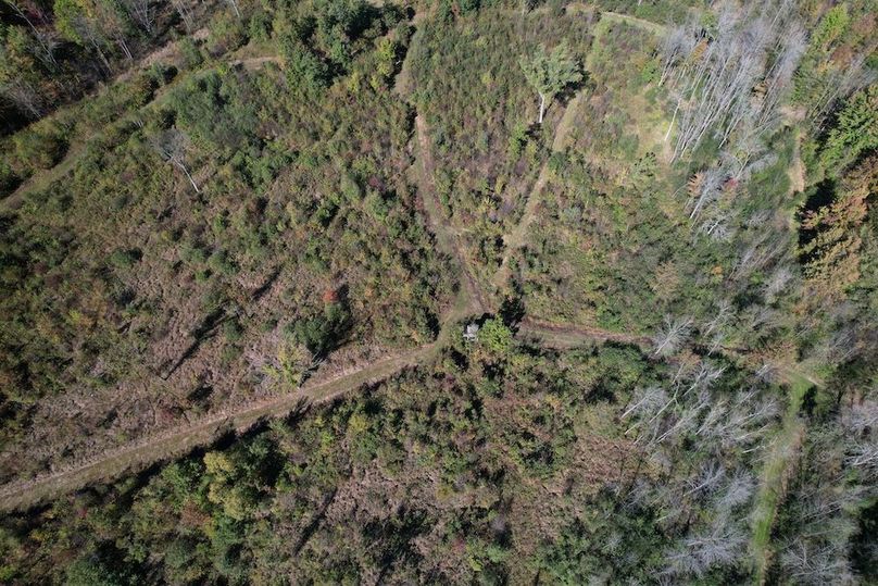 Wood 41.451, Collins -42