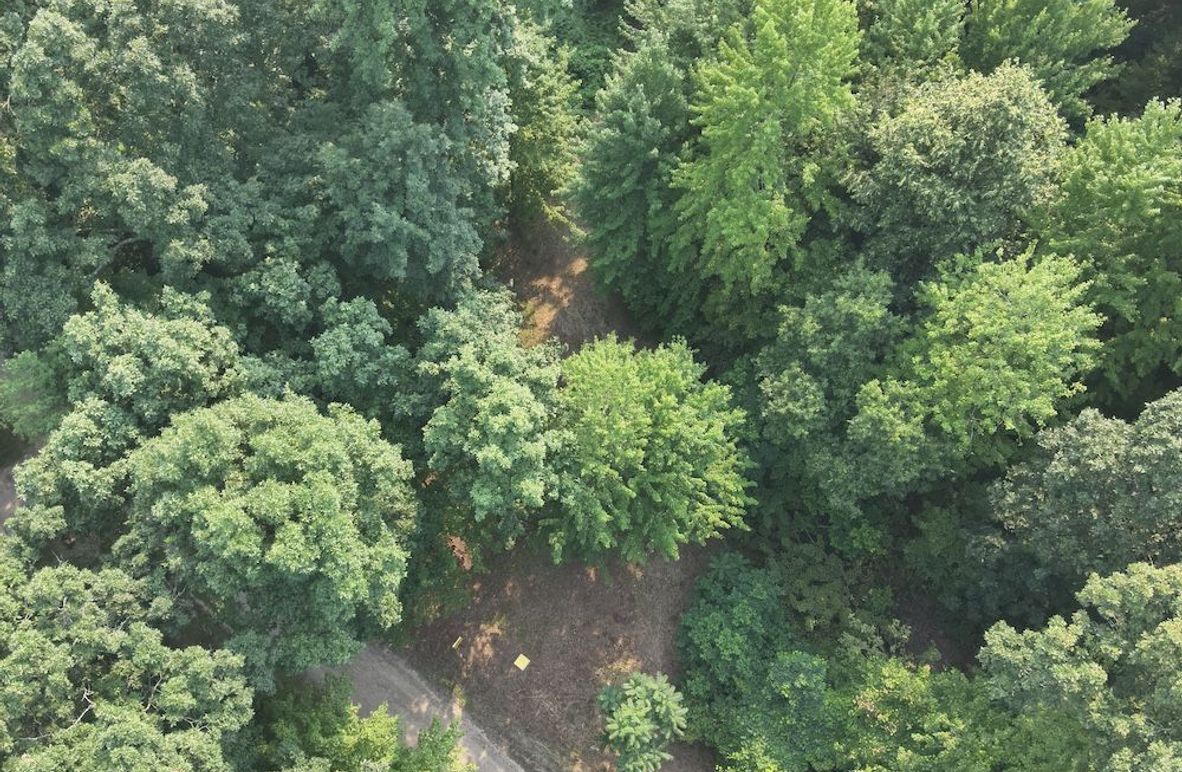 DJI_20250804050220_0004_V