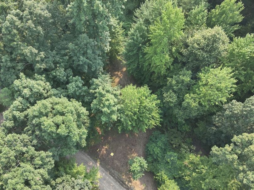 DJI_20250804050220_0004_V