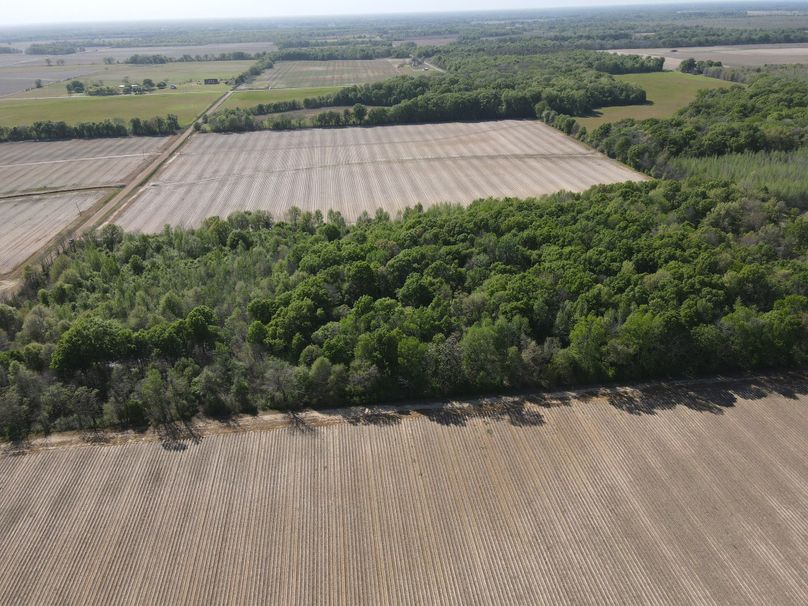 C059C0FB-FCDF-4233-BEF2-EE3AF87EA68C_1_102_o