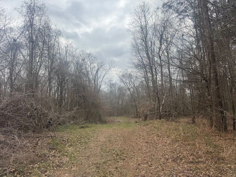 311 new20260217_0469