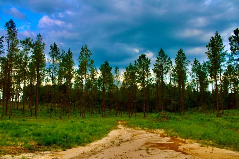 56DC5583-CC5F-4FD3-82F5-5FB27125CB7A_1_105_c