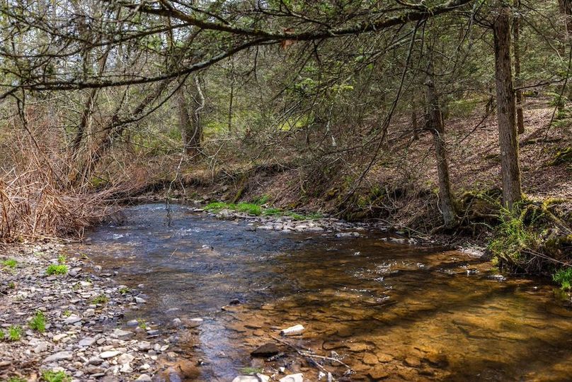 60-web-or-mls-IMG-60