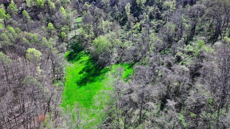 DJI_20250425040606_0432_D