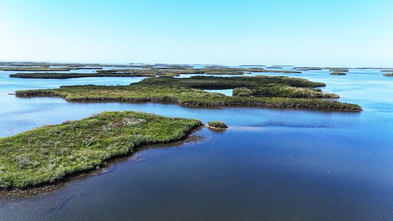 17.17ac, Citrus, Josiah Ronco02