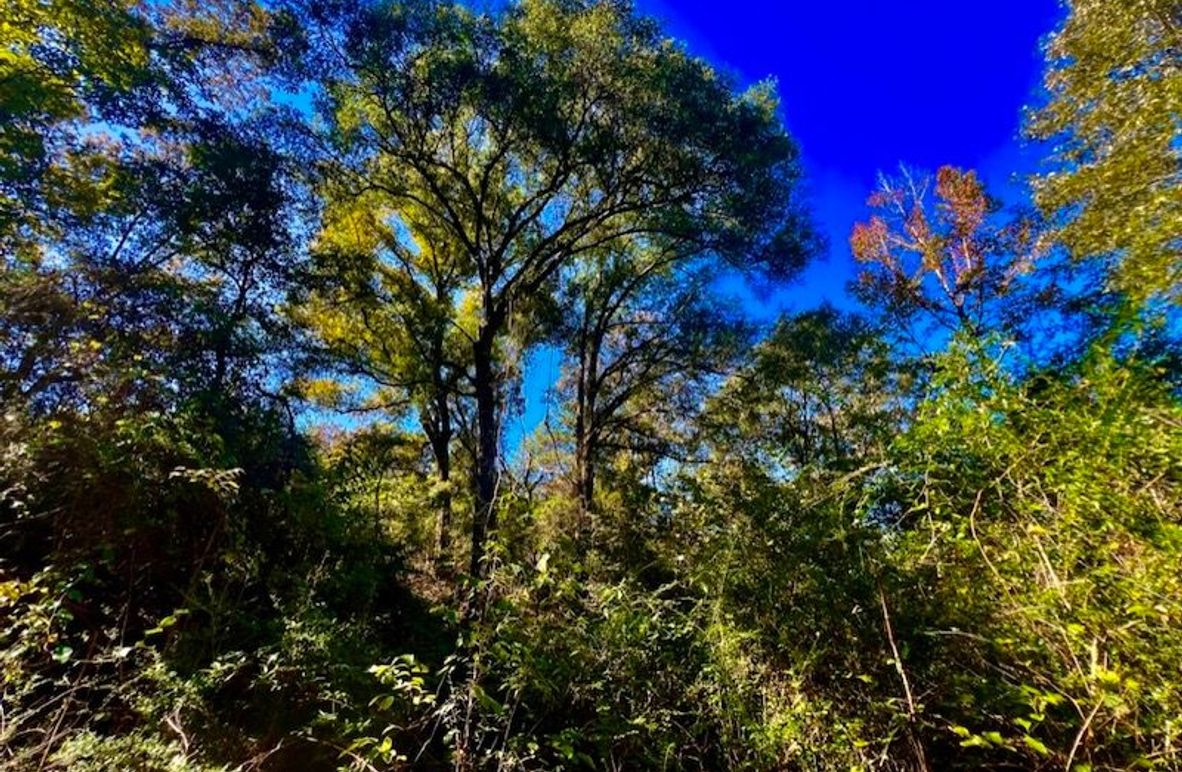 1EB56AE6-ECA3-4CFD-BAFB-851C085DA393_1_105_c