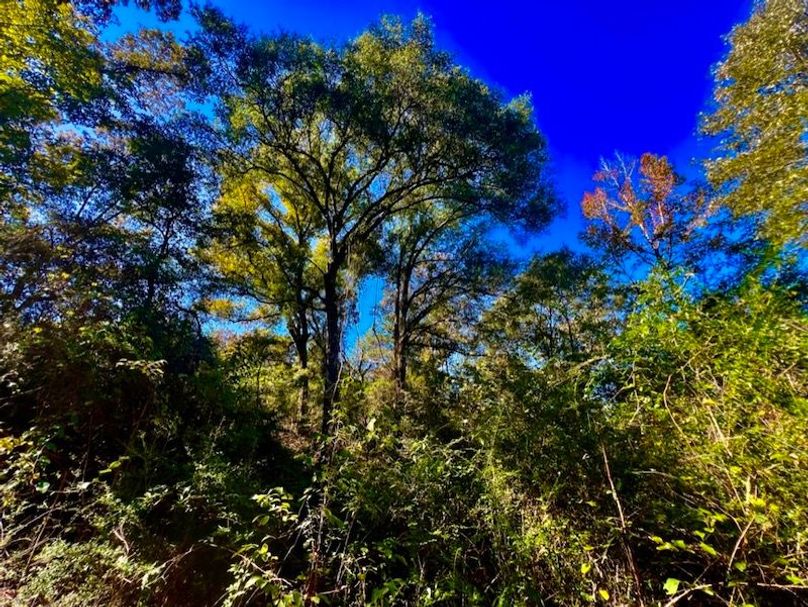 1EB56AE6-ECA3-4CFD-BAFB-851C085DA393_1_105_c