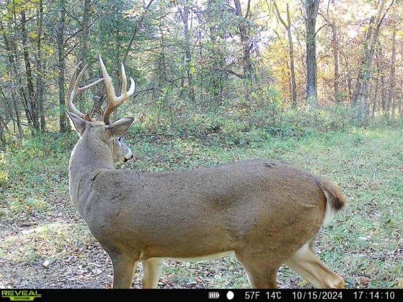 860322061934193-80-4-10152024171410-W1010690