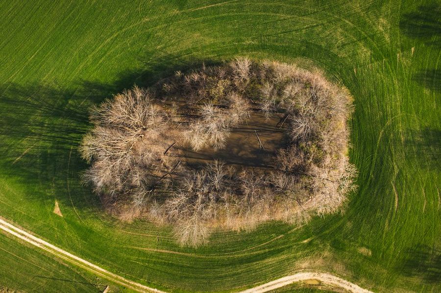 DJI_0636-HDR