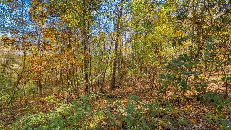 45-zj 18384 Crawmer Rd Se,098-2