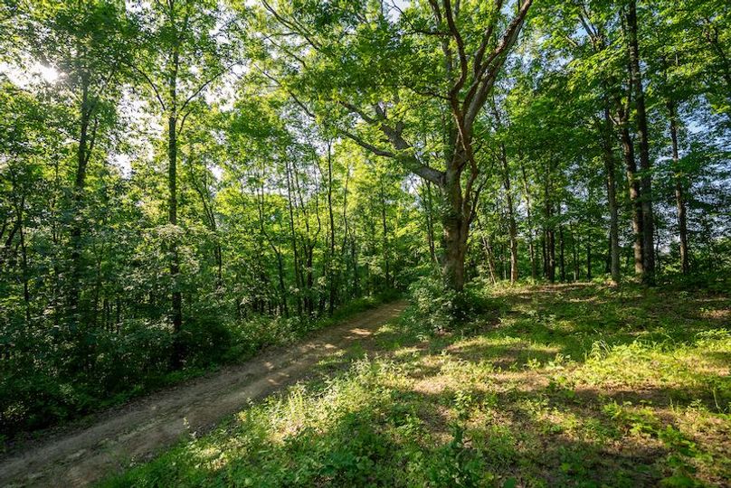 Wetzel WV 171 Featured_Pro Photo-48