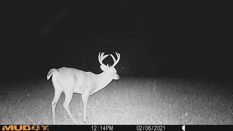 trailcam7