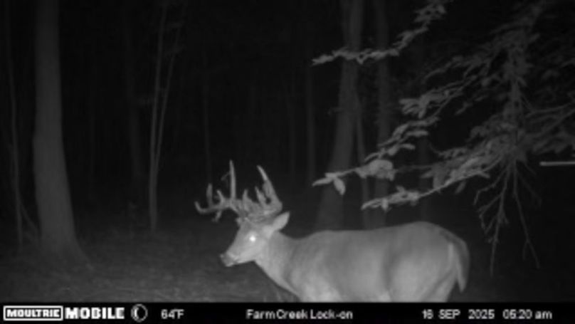 Benton 133.5 Trail Cam-02