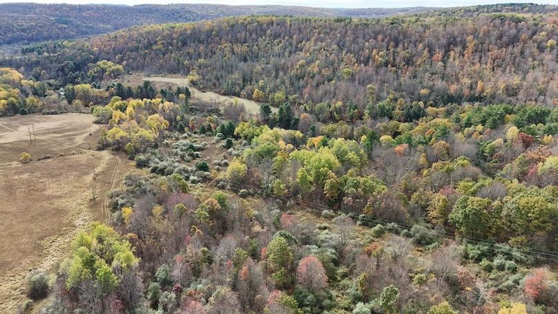 DJI_20251017132128_0751_D