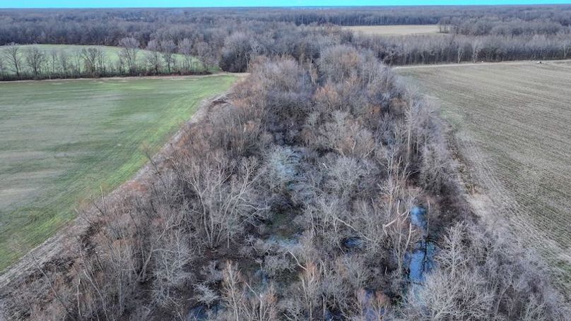 Phillips 8.5 Trahan -15