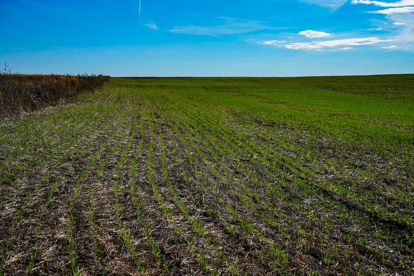 Dickinson Co, 154.5_042