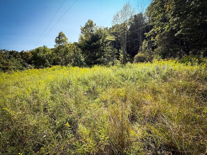 Tioga NY 86.705 Capwell Photos 4