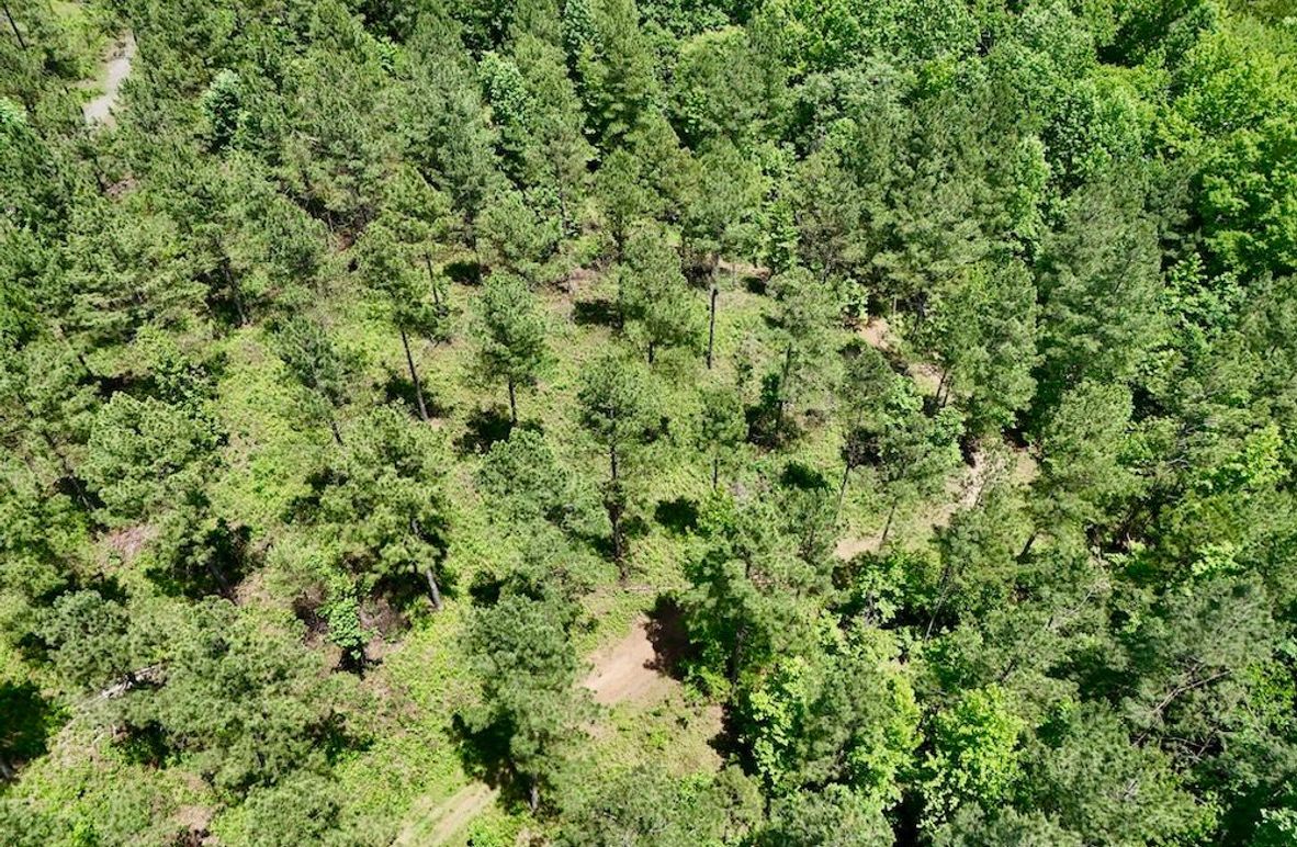 DJI_20260527141832_0003_D