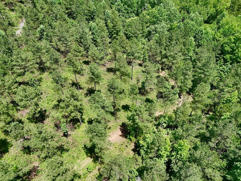 DJI_20260527141832_0003_D