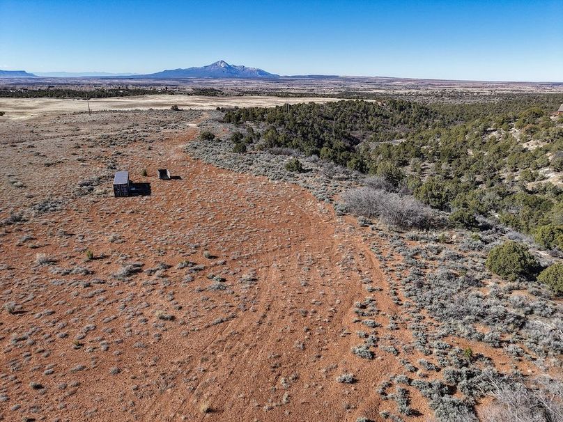 DJI_20260303094224_0046_D