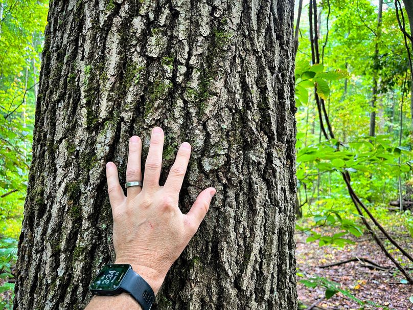 Ontario_16.2_Eddington Photo 33