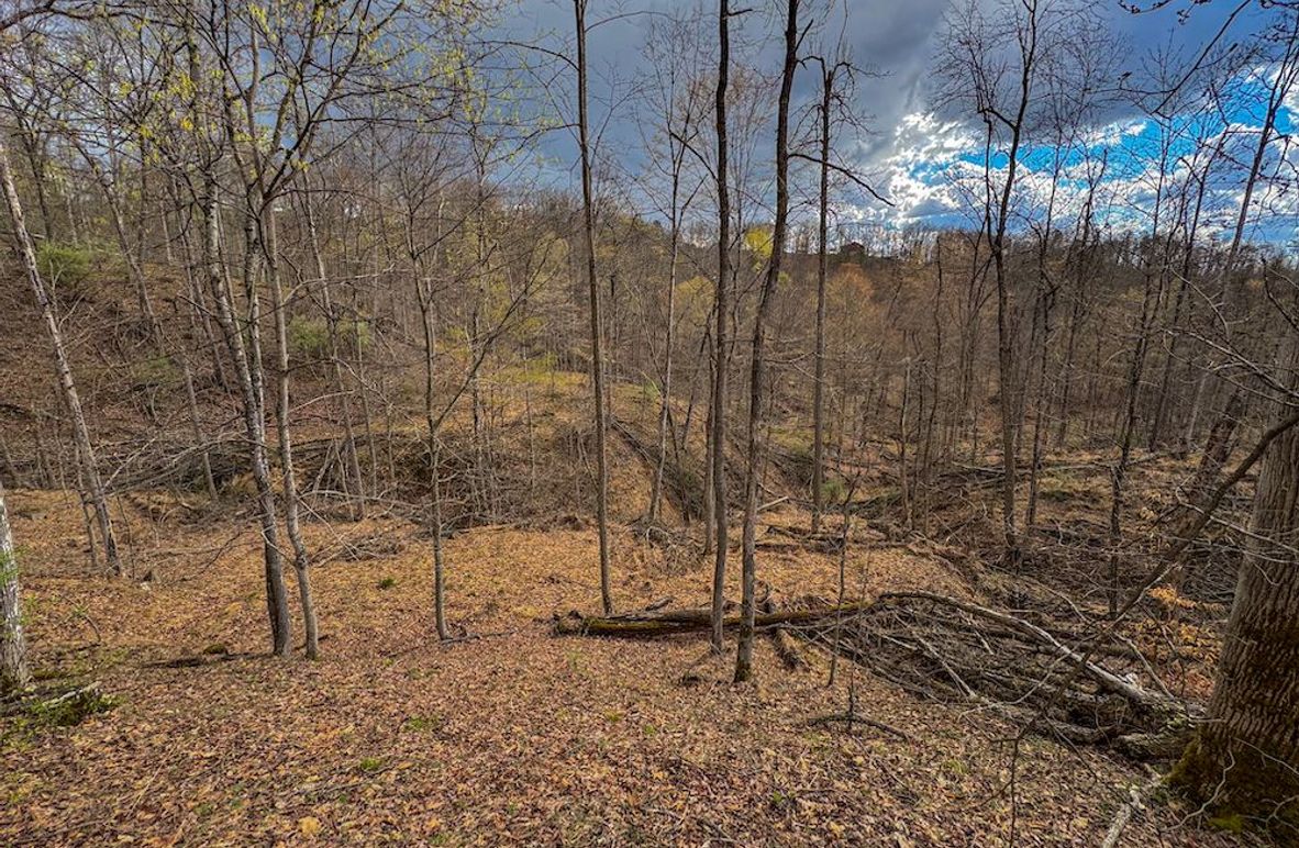 Wirt, WV 156.941 AC Full-06