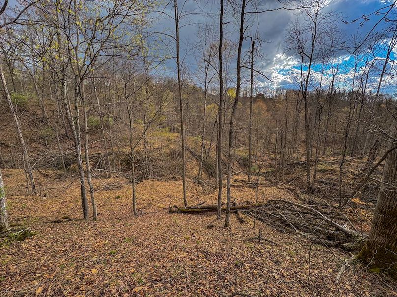Wirt, WV 156.941 AC Full-06