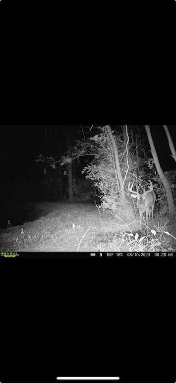 Screenshot 2026-01-09 at 12.39.23 PM