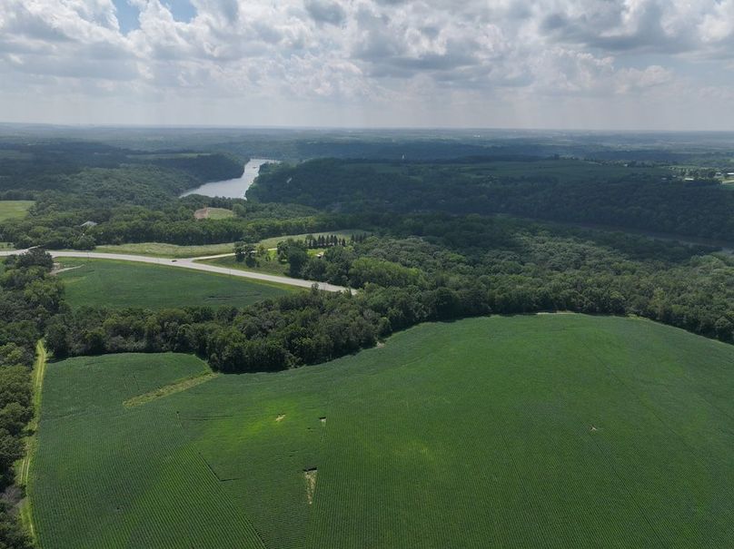 Olmsted 42.63 New-06