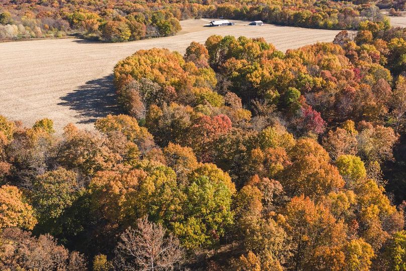 DJI_20251107133047_0084_D-HDR