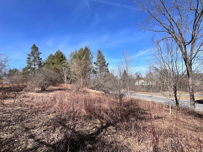 Lewis_26_Somberg Photo 10