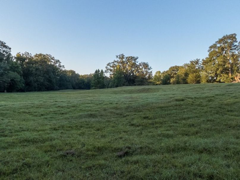 Hinds Co - 30 - Newman-07