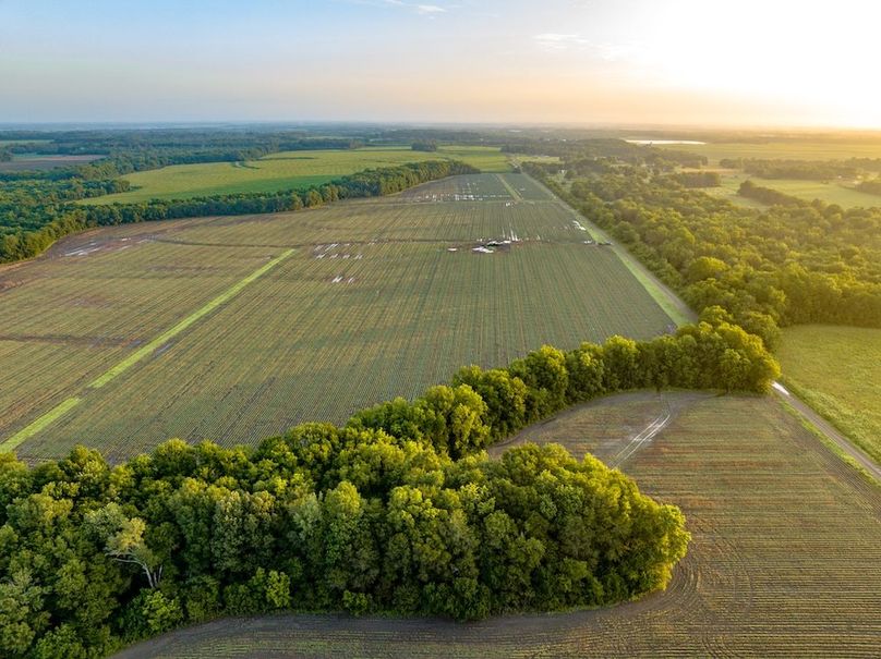 Copy of Noxubee 40 Tract 2-08