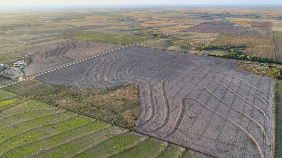 Western KS Farmland Quarter With Hunting Habitat Whitetail Properties