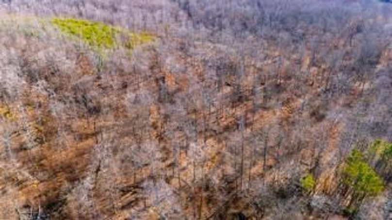 MCKINNON TRACT 19-28