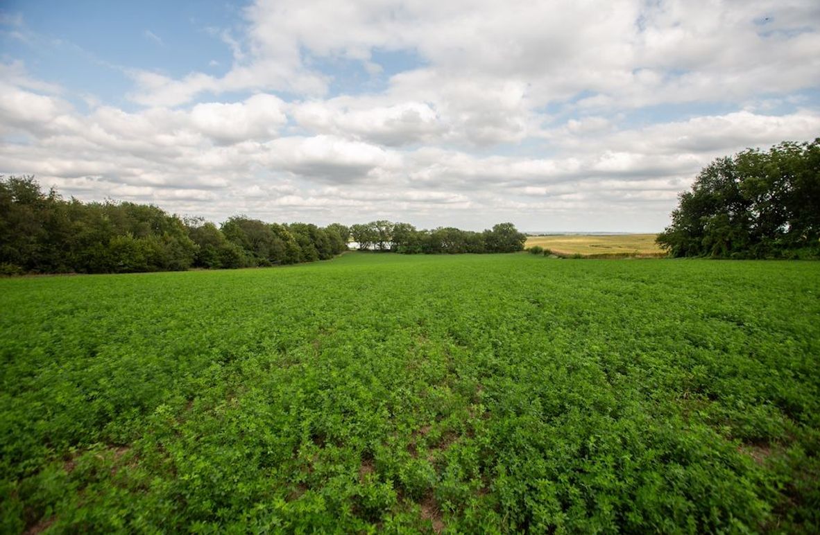 FREMONT CO IA 10.25_1