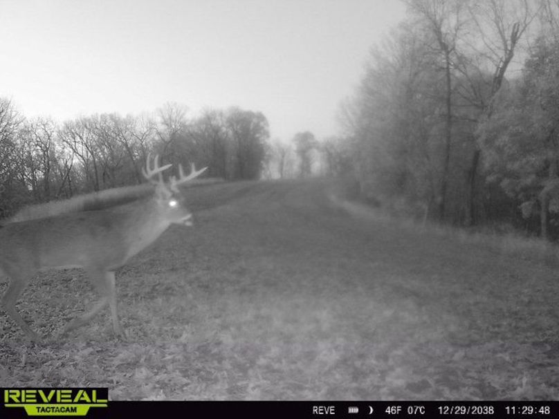 865814043205432-10-3-12292038112948-W1018937 2