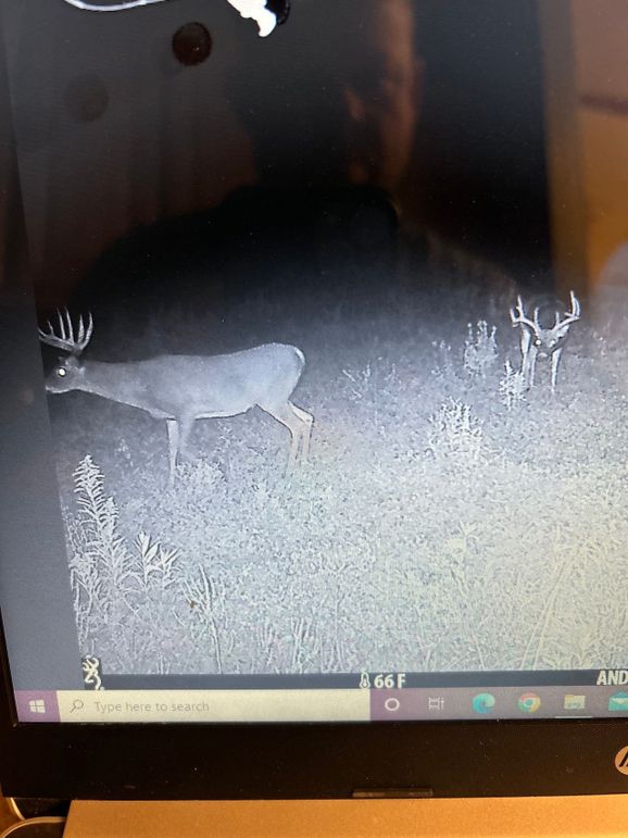 71824276735__570610C1-BC85-483B-BCBB-5AA5C7974CA0