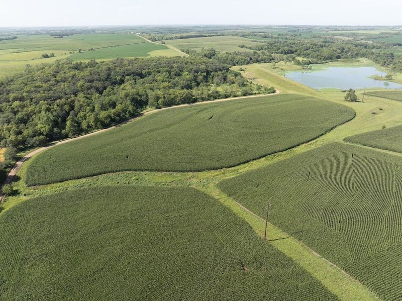 DJI_20250729100638_0049_D